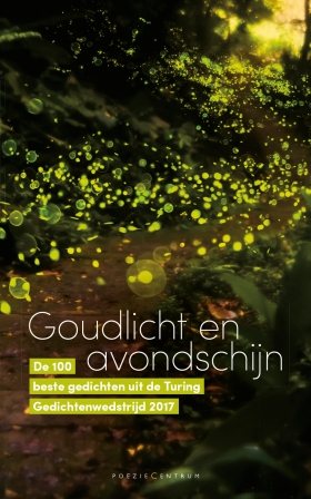 Goudlicht en avondschijn