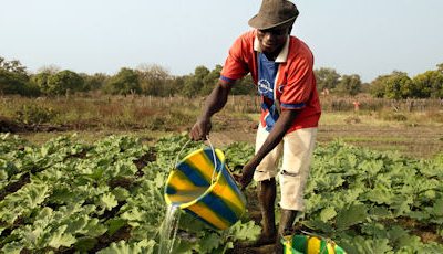 Duurzame landbouw in Burkina Faso