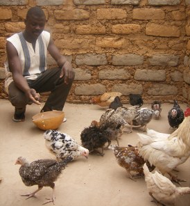 Vocational education on sustainable farming, Gbomboro, Burkina Faso
