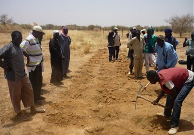 Training in sustainable organic farming, Burkina Faso