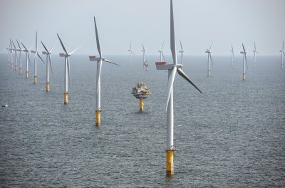 Natuur-incusief bouwen van windmolenparken, Noordzee