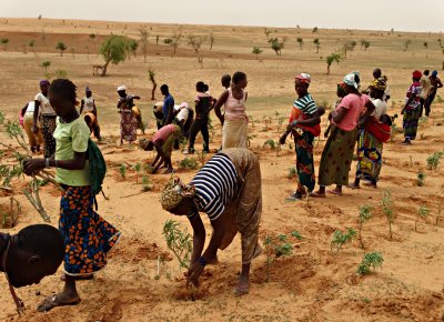 Groene Woestijn Initiatief fase II, Mali, 2022-2025