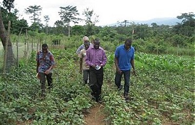 Farming and Livelihood Improvement Programme, Ghana