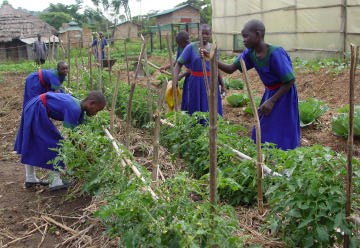 Leerlingen aan de URDT Girls School (Uganda) krijgen ook les in landbouwtechniek