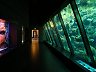 Restoration ARTIS-Aquarium
