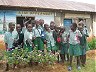 School Improvement Programme, Kenya